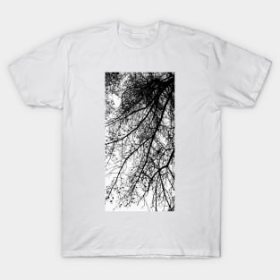 Under the Trees Cont'd T-Shirt